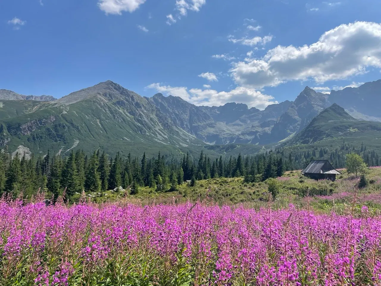 Hala Gasienicowa in summer