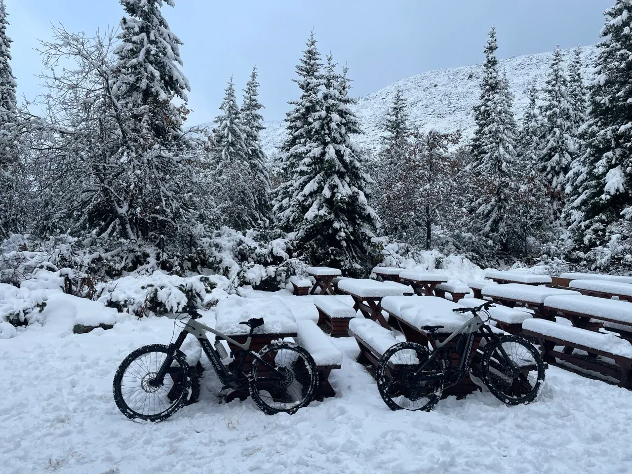 Bikes under fresh snow
